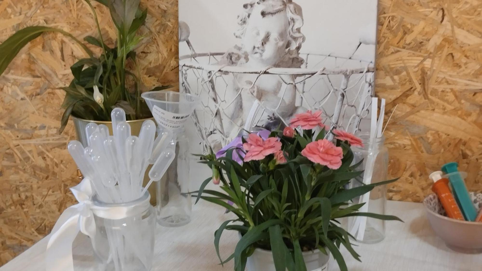 Le Laboratoire Shabby Chic De La Parfumerie Du Manoir Chavagne Extérieur photo
